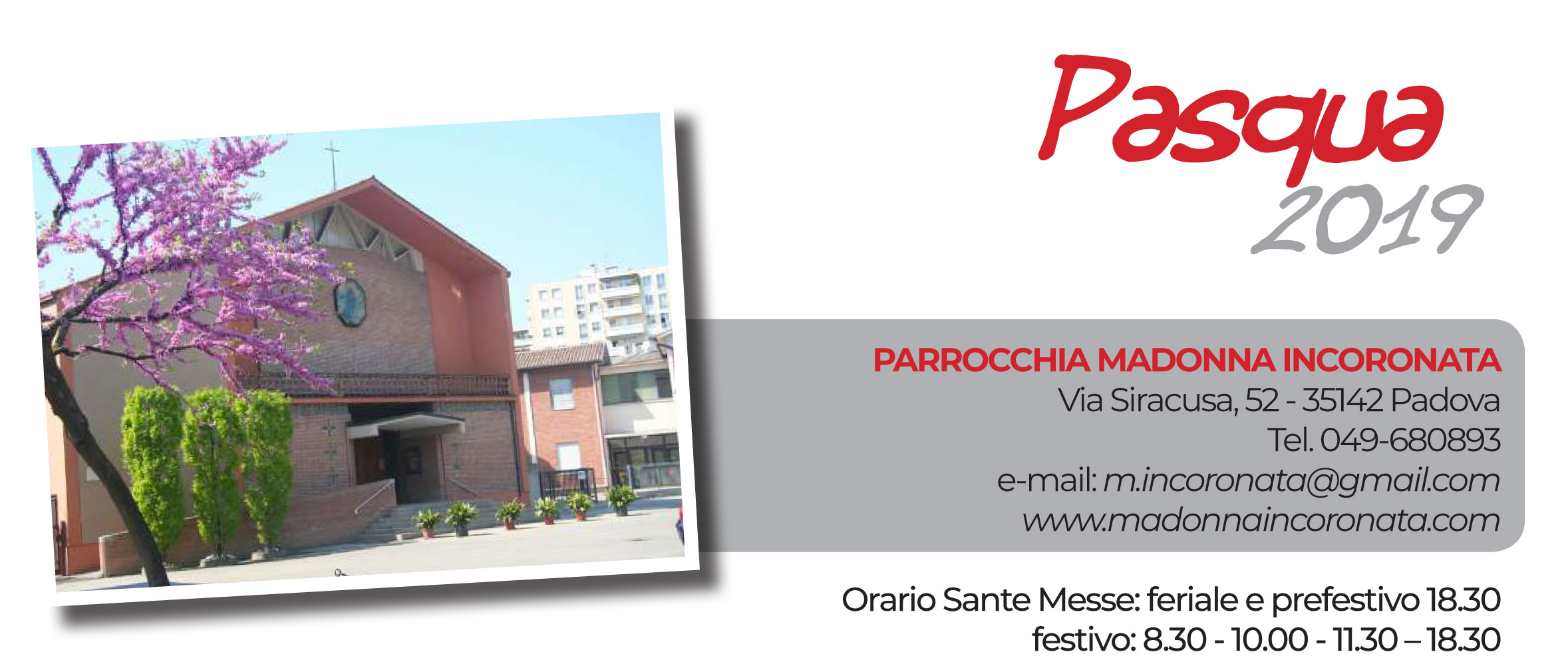 Bollettino Pasqua 2019 immagine